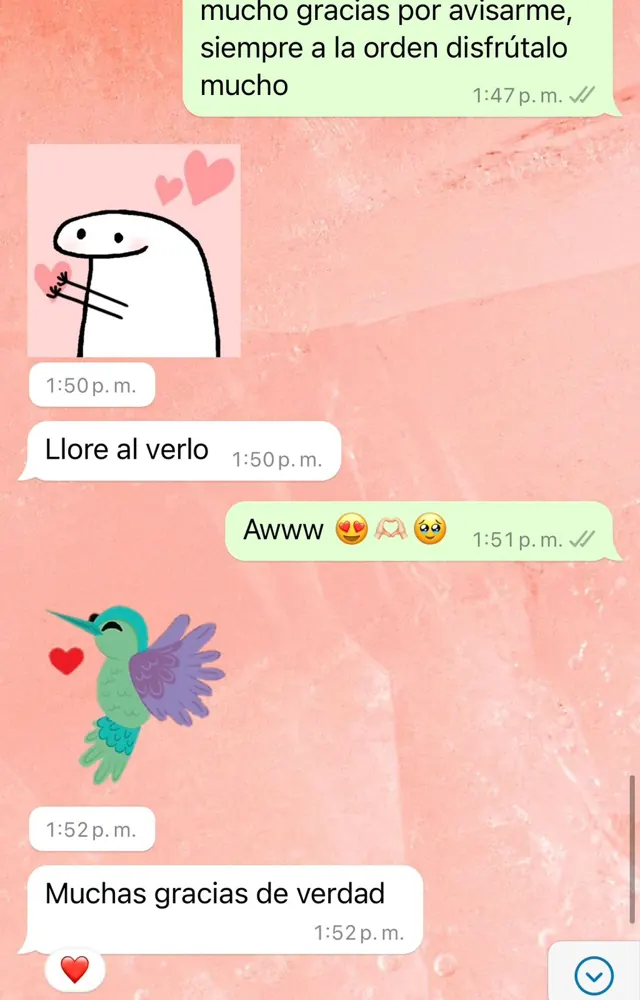 Mensaje de WhatsApp de una clienta al recibir su cuadro: «Lloré al verlo. Muchas gracias de verdad»